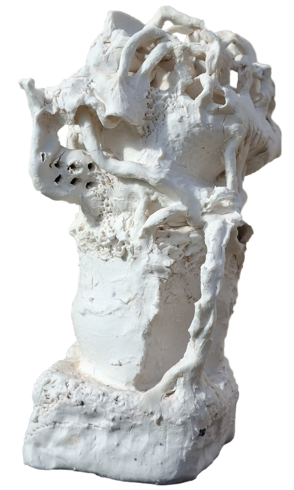 porcelaine complexion